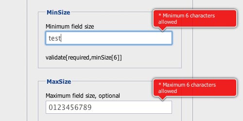 Form Validator