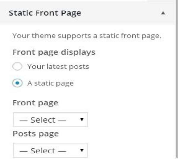 WordPress Customize Theme