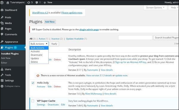 Wordpress Plugin Settings