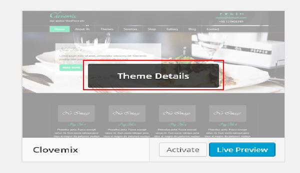 WordPress Theme Management